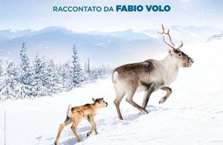 Ailo un’avventura tra i ghiacci, trama e cast: il libro sulla renna di Babbo Natale