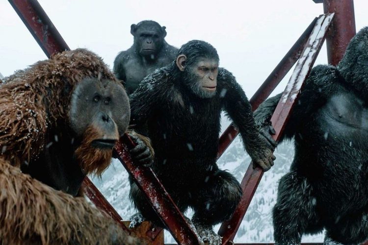 The War – Il pianeta delle scimmie dove è stato girato