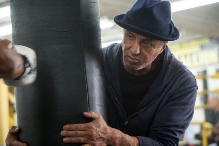stallone creed 2