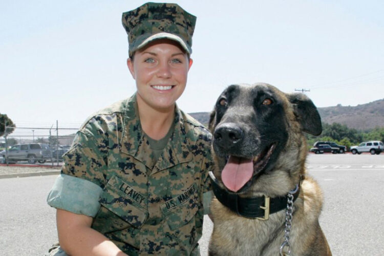Sergente Rex oggi, come sta il cane di Megan Leavey: FOTO