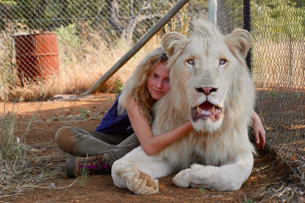 Mia e il leone bianco storia vera