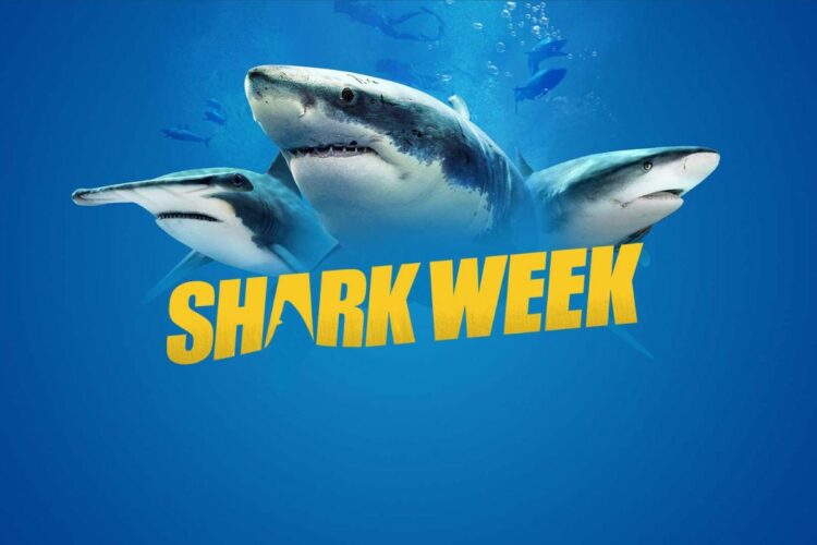 Shark week 2022 programmazione dove vedere in streaming