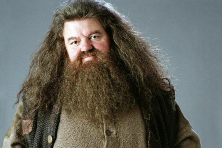 Hogwarts non esiste senza di te: cosa è Hagrid per Harry Potter